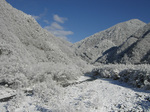08.02.04yukigeshiki01.jpg