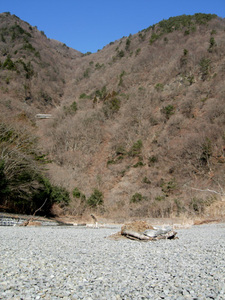 08.03.08oshidoriike.jpg