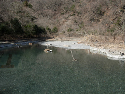 08.03.09oshidoriike.jpg