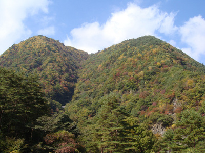 08.11.05kouyou.jpg