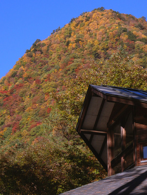 08.11.13kouyou01.jpg