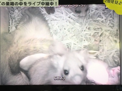 7BA8EAA7-6E2D-488F-99C2-4E2DDBED408D.jpeg