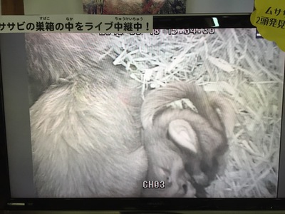 AAAF9630-D868-4D50-82CE-46422F54ACA6.jpeg