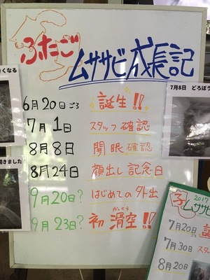 B5593E40-74AC-4CA9-A08D-A5195704DE6B.jpeg