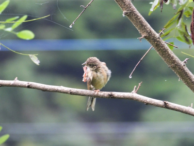 DSCF8291-2.jpg