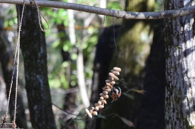 DSC_0647.JPG