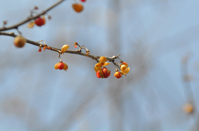 DSC_0902-2.jpg