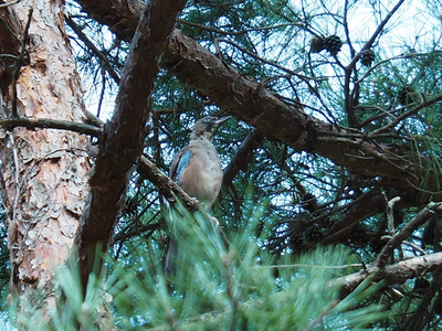 P8305768-2.jpg