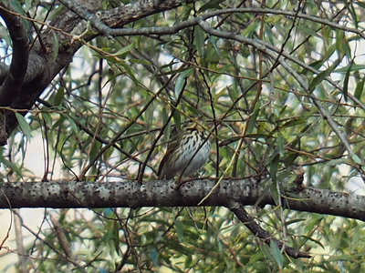 PB143314-2.jpg