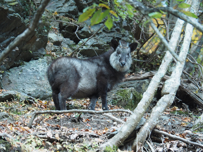 PB163346-2.jpg