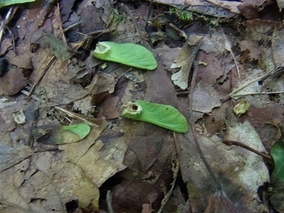 RIMG0161.JPG