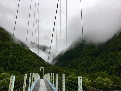 image1 (71).jpeg