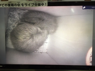 image3 (35).jpeg
