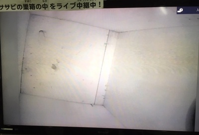 image4 (22).jpeg