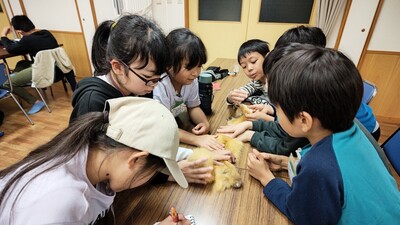 1730550228841.jpg
