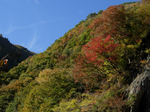 2006.12.16 yama001.jpg