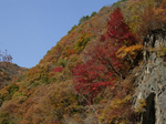 2006.12.16 yama002.jpg