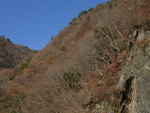2006.12.16 yama004.jpg