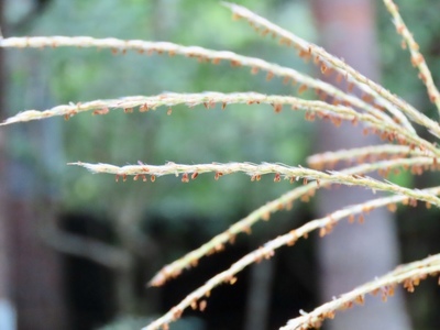 8B845020-FE42-4C94-B130-5223EAD97B7C.jpeg