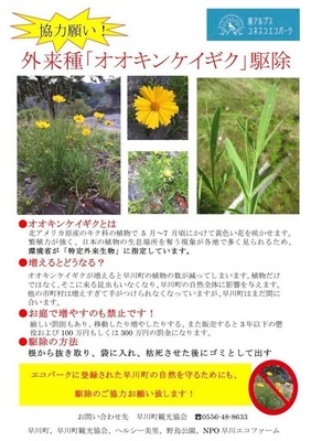 922CC6E6-12B1-4FF6-AC05-4F7B1D6E4015.jpeg