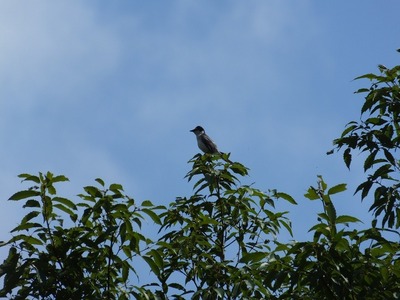 DSCF7483.jpg