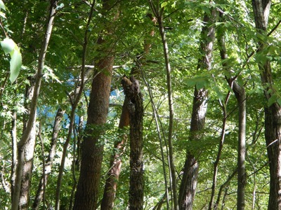 DSCN0420.jpg