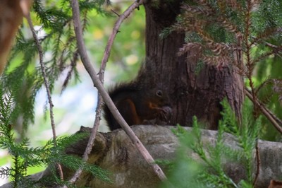 DSC_0272.JPG