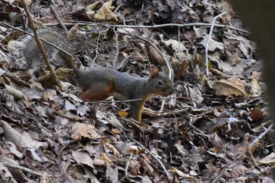 DSC_0288.JPG