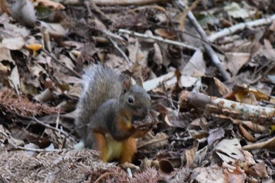 DSC_0291.JPG