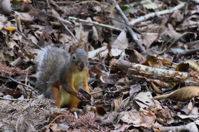 DSC_0292.JPG