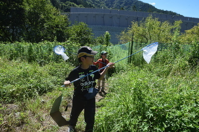 DSC_0386-thumbnail2.jpg