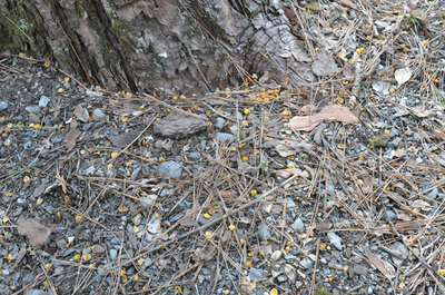 DSC_0881-2.jpg