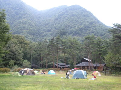 Lvi02.JPG