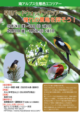 夏鳥ツアー.jpg