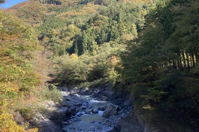 IMG_1266.jpg