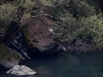 PA214997.JPG