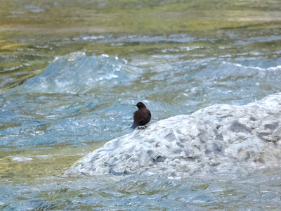 PA225148.JPG
