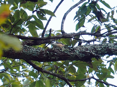 PA245927.JPG