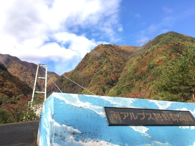 image1.jpeg