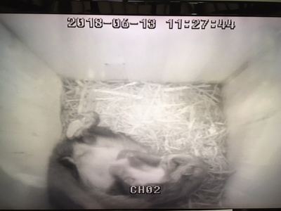 image1 (18).jpeg