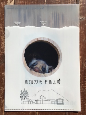 image1 (32).jpeg