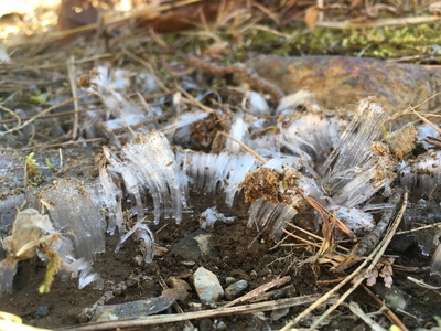 image1 (36).jpeg