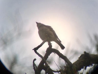 image1 (68).jpeg