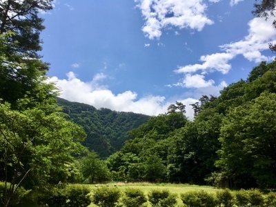 image1 (70).jpeg