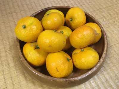 image1 (82).jpeg