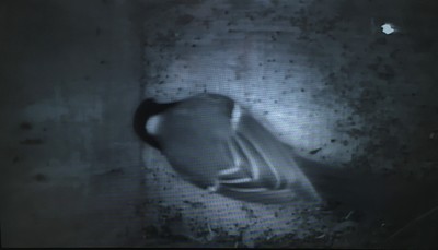 image1 (84).jpeg