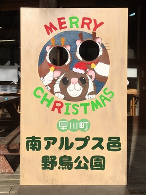 image2 (20).jpeg