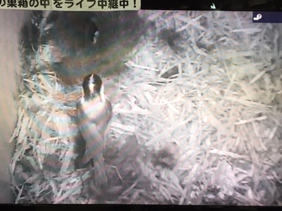 image2 (48).jpeg