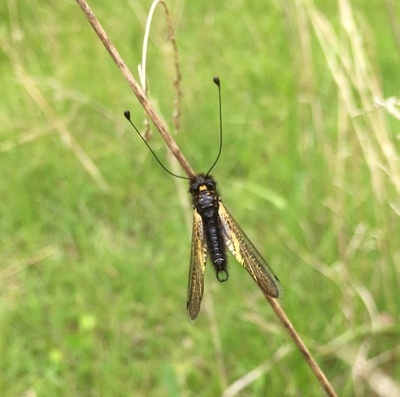 image2 (52).jpeg