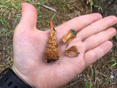 image2 (61).jpeg